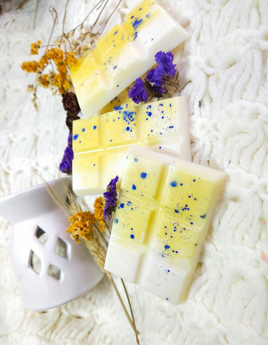 Wax Melts to Warm Your Home!